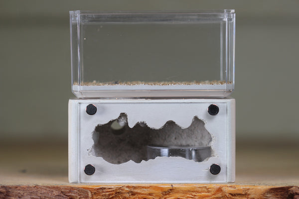 Mini Hearth (Bone 1909)