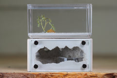 Mini Hearth (Bone 1912)