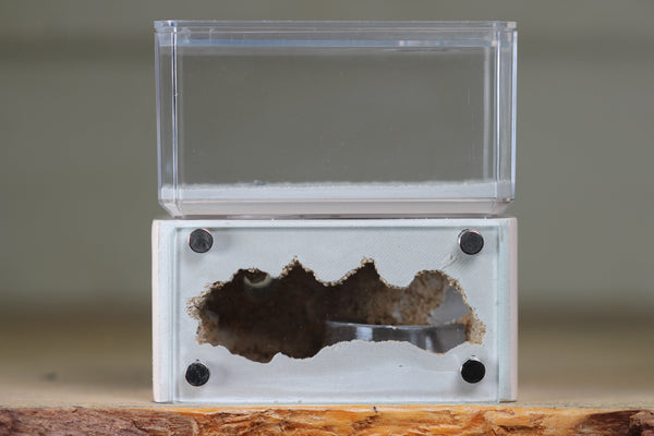 Mini Hearth (Bone 1910)