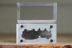 Mini Hearth (Bone 1913)