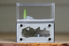 Mini Hearth (Grey 1914)