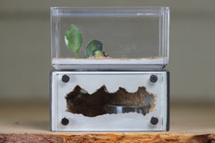 Mini Hearth (Grey 1915)