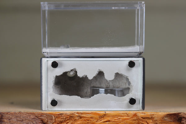Mini Hearth (Grey 1917)