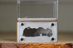 Mini Hearth (Brown 1919)