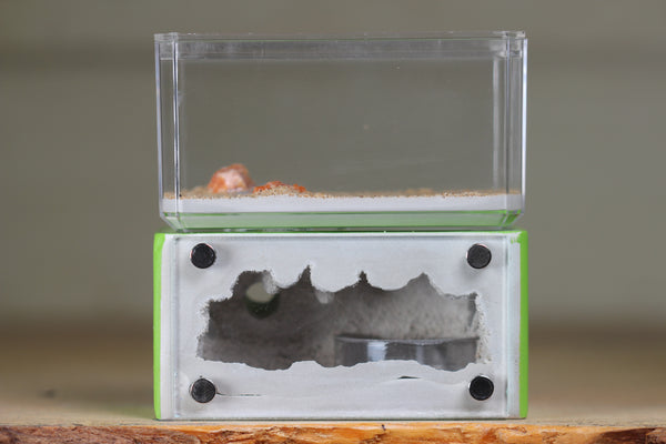 Mini Hearth (Lime 1921)