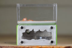 Mini Hearth (Lime 1921)