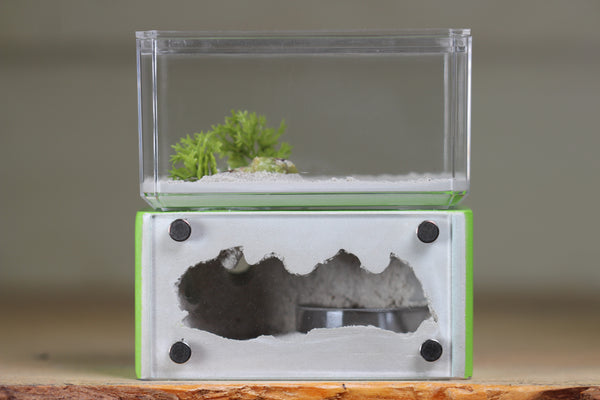 Mini Hearth (Lime 1922)