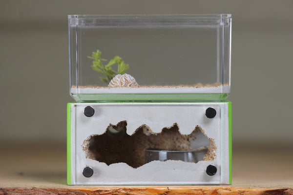 Mini Hearth (Lime 1923)