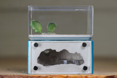 Mini Hearth (Aqua Blue 1927)
