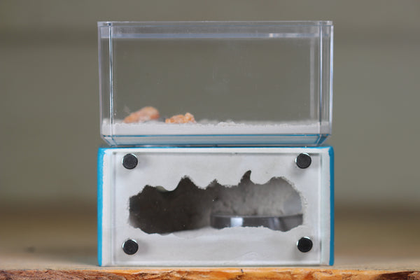 Mini Hearth (Aqua Blue 1929)