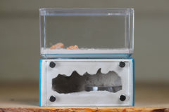 Mini Hearth (Aqua Blue 1929)
