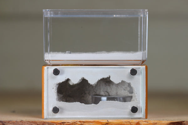 Mini Hearth (Terra 1931)