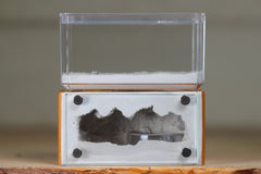 Mini Hearth (Terra 1931)