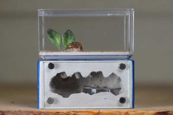Mini Hearth (Dark Blue 1932)