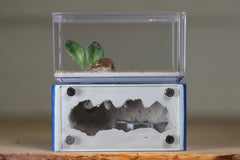 Mini Hearth (Dark Blue 1932)