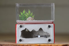 Mini Hearth (Red 1936)