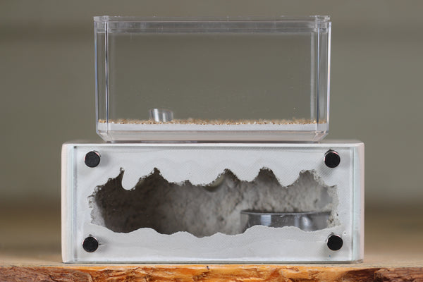 Mini Hearth XL (Bone 4306)