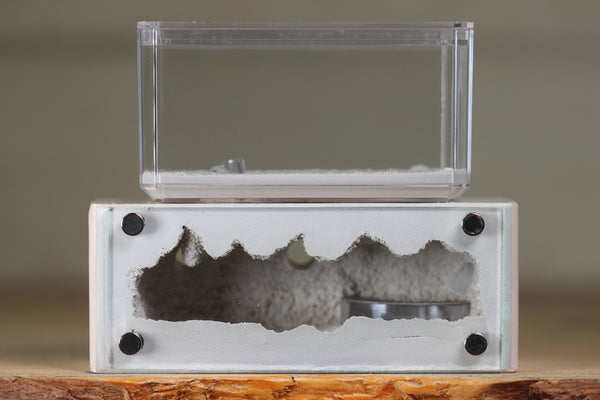 Mini Hearth XL (Bone 4307)