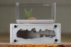 Mini Hearth XL (Bone 4308)