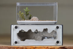 Mini Hearth XL (Grey 4312)