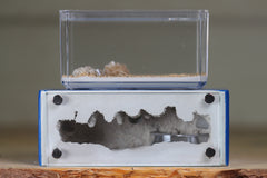 Mini Hearth XL (Dark Blue 4323)