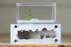 Mini Hearth XL (Light Blue 4328)