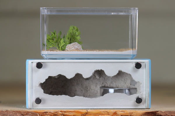 Mini Hearth XL (Light Blue 4329)