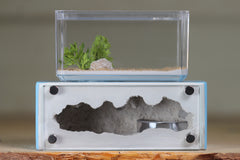 Mini Hearth XL (Light Blue 4329)