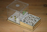 Fallen Fortress (Beige 3563)