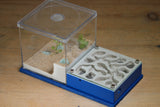 Fallen Fortress (Dark Blue 3564)