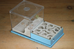 Fallen Fortress (Light Blue 3570)