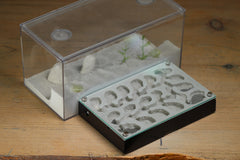 Mini Labyrinth