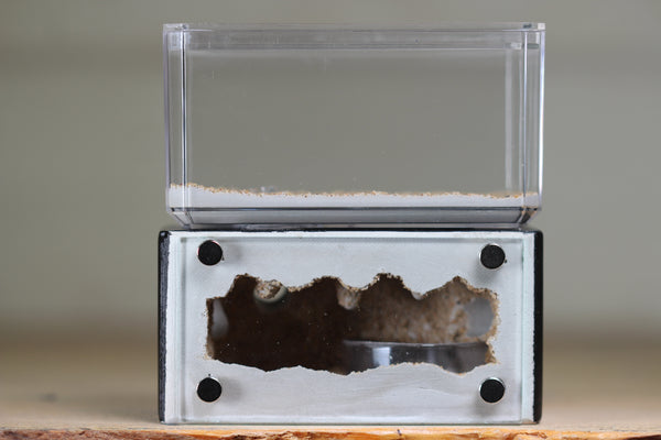 Mini Hearth (Black 2001)