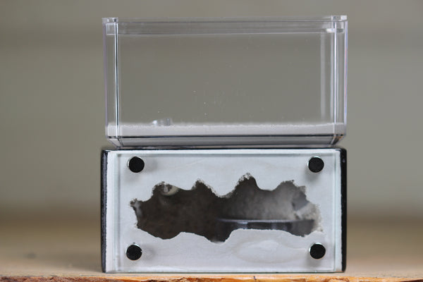 Mini Hearth (Black 2002)