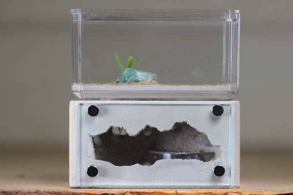 Mini Hearth (Bone 2005)