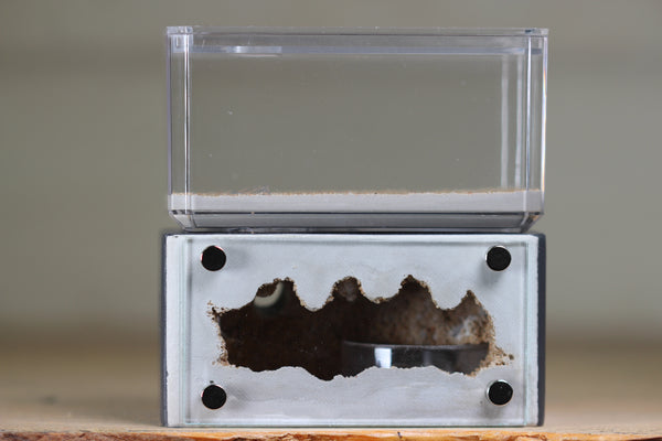Mini Hearth (Grey 2007)