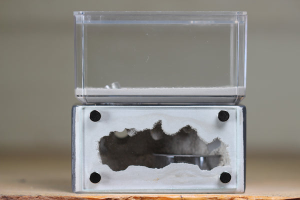 Mini Hearth (Grey 2008)