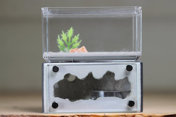 Mini Hearth (Grey 2009)