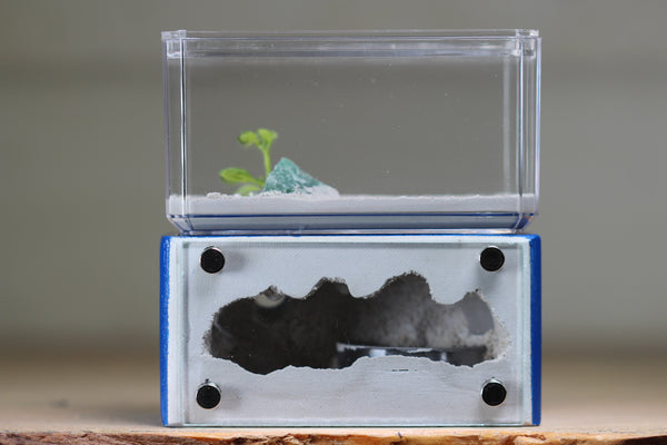 Mini Hearth (Dark Blue 2011)