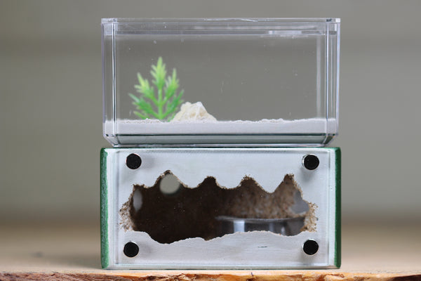 Mini Hearth (Dark Green 2012)