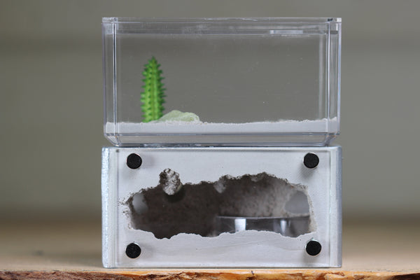 Mini Hearth (Silver 2013)