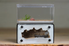 Mini Hearth (Black 8016)