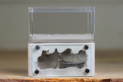 Mini Hearth (Bone 8024)