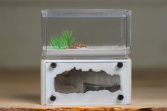 Mini Hearth (Bone 8026)