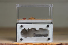 Mini Hearth (Grey 8029)