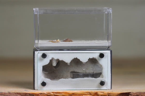 Mini Hearth (Grey 8032)