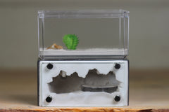 Mini Hearth (Grey 8033)