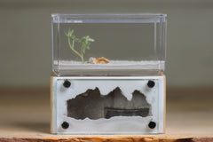Mini Hearth (Beige 8034)