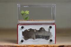 Mini Hearth (Red 8037)