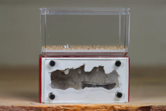 Mini Hearth (Red 8039)